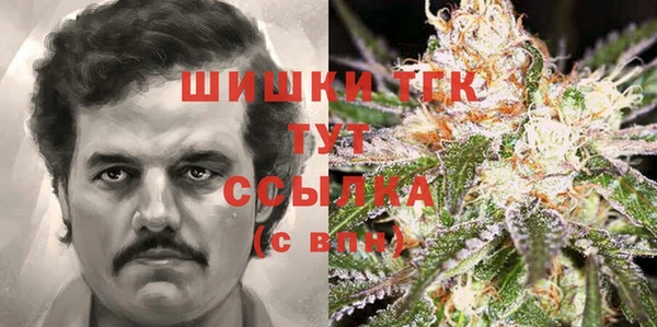 твердый Абаза
