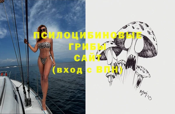 спиды Абинск