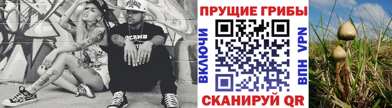 продажа наркотиков  MEGA маркетплейс  Псилоцибиновые грибы мухоморы  Зея 